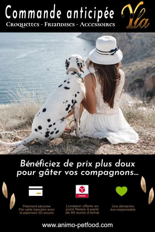 commande croquettes et friandises pour chien